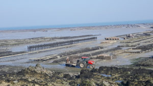 oyster beds cancale private tour